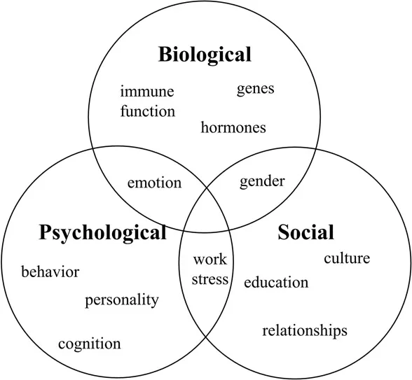 Figure 1.1 Biopsychosocial Model