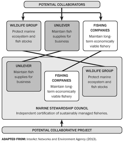 FIGURE 2. Many outcomes, one project.