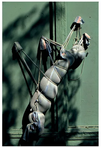 Figure 1.2 Storefront for Art and Architecture facade installation (New York, NY (1992)) (with Aryaya Asgadom)