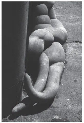 Figure 1.3 Storefront for Art and Architecture facade installation (New York, NY (1992) (with Aryaya Asgadom))