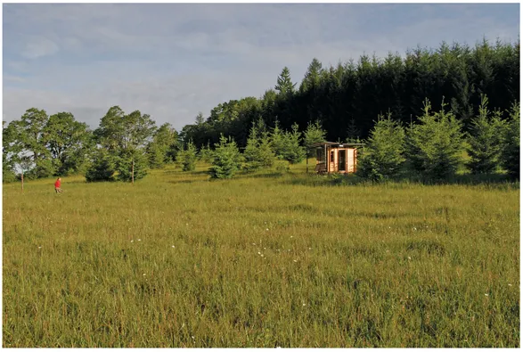 Figure 1.2 Watershed view from the field