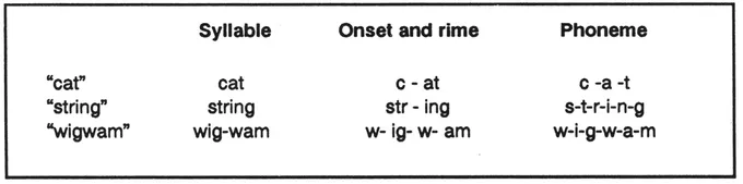 FIGURE 1.1 Three ways to divide words into component sounds.