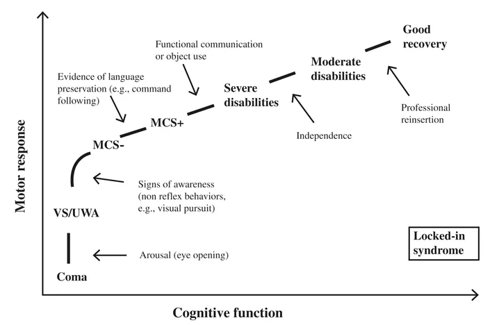 Figure 1.1 Different clinical entities encountered on the gradual recovery from coma, illustrated as a function of cognitive and motor ability (adapted from Chatelle & Laureys, 2011).