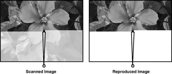 Figure 2.2 Scanning and Reproducing an Image