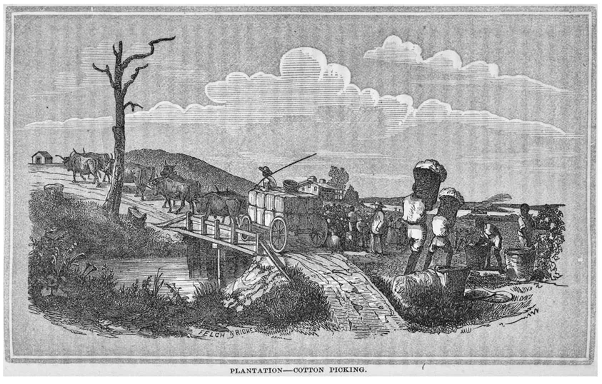 Figure 1.3 Plantation—cotton picking. Courtesy of the New York Public Library, 427779