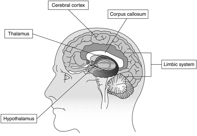 Figure 1.3 