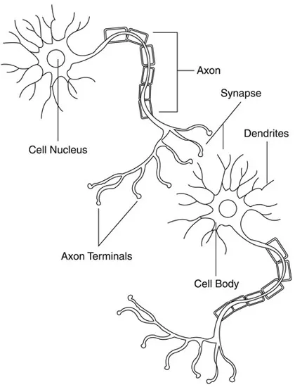 Figure 1.4 