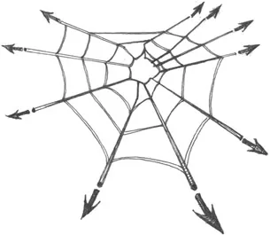 Figure 1.2 Illustration of a spider’s web