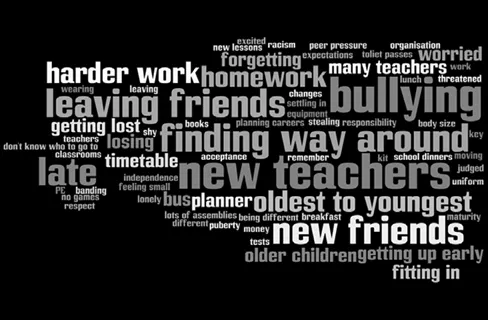 Figure 1.5 Pupils key words about transition represented as a Wordle.