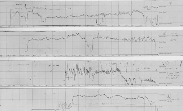 Figure 1.5 Resistograph drill logs. High points are where material is dense; low points indicate decay or voids