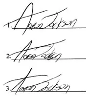 Fig. 1.2 Three signatures written by the same person in a sequence. Note the natural variation between the signatures.