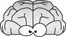 icon_brain.webp