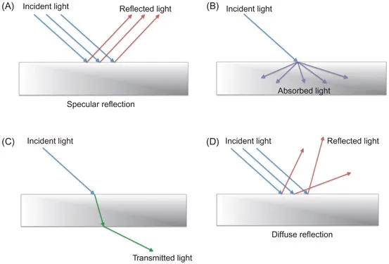Figure 1.4 Radiation can be (A) reflected, (B) absorbed, or (C) transmitted by an object. In specular reflection, the reflected rays are typically parallel to each other. Diffuse reflection (D) differs from specular reflection (A) in that the reflected rays are not parallel due to the nonuniform surface.