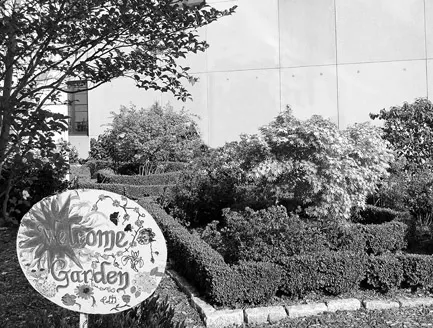 Figure 1.1 The garden created by veterans in the Giant Steps Program to welcome veterans and their families to the VA.