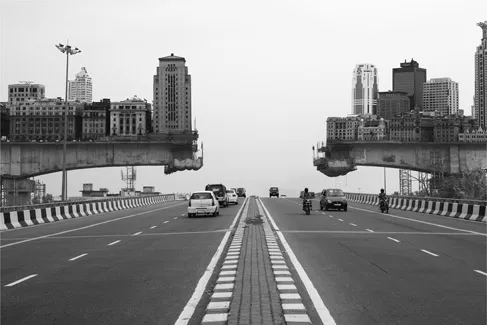 Figure 1.2 Gigi Scaria, Face to Face (2010), inkjet print on archival paper, 63 x 44 inches