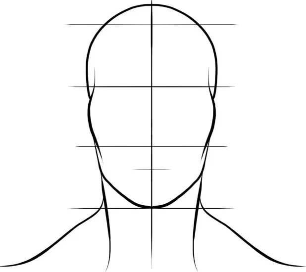 Figure 1.4 Proportions of the head