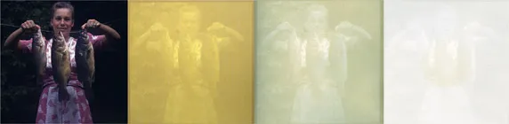 Figure 1.4. Great Catch, © Christina Z. Anderson. From left to right: original slide image; the image exposed in plain gum arabic just after exposure and before development; the image after development that has cleared to a pale, sage green; the image left out in sunlight for a couple hours with a circular glass on top. Sunlight fades the dichromate green color to an even paler, almost imperceptible gray-green. By contrast, where the glass has prevented the sunlight from hitting the print, the yellow circle remaining needs more time to fade, which it will with time and in regular room light. This illustrates the necessity of adding pigment to the gum layer, something that wasn’t suggested until 16 years after the discovery of dichromate sensitivity! Otherwise there will hardly be an image left after a few days.