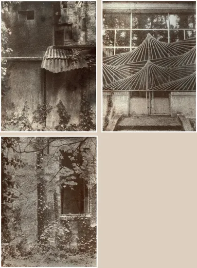 Figures 1.1–1.3. Jardin d’Agronomie Tropical, duo-tone gum bichromate with handmade pigments © John Brewer 2015. “These images are taken with an iPhone in Jardin d’Agronomie Tropical near Paris, a dilapidated collection of buildings from France’s dark past. This small park hosted the 1907 Paris Colonial Exposition. The exhibition was based around several villages representing the French empire (Indochine, Madagascar, Congo, Sudan, Tunisia, Morocco). Inhabitants from these territories were also brought over to live in these villages and be observed by curious visitors for the duration of the exhibition, a sort of human zoo. With this body of work I have used two pigments I have made from materials found in France, charcoal from burnt trees and a brown/ochre from Roussillon.”