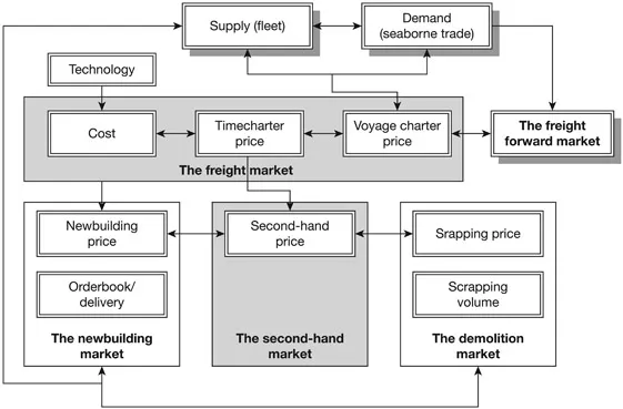 Figure 1.1 Economic relations between markets in the dry bulk shipping industry