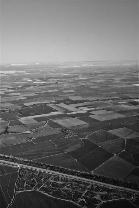 Image 1.1 Agriculture as viewed from an airplane outside Sacramento, California, USA