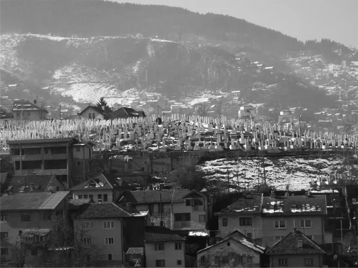 Plate 3 A Muslim cemetery in Bosnia: just because a society is ethnically fissured does not mean that conflict will follow.