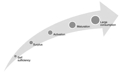 Figure 1.1 Rostow's stage growth model (1960) Source: Author's conception.