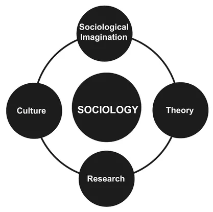 Figure 1.2 Components of a sociological perspective. Source: Raymond Lee