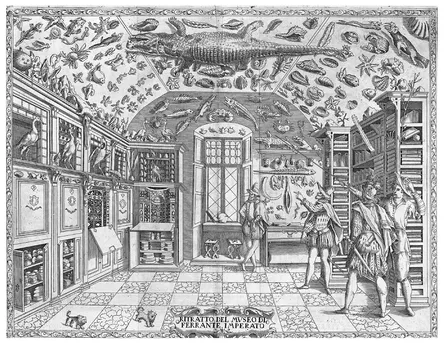 Figure 1.1: An engraving of the collection of Ferrante Imperato—a Neapolitan apothecary—at the Palazzo Orsini di Gravina represents the earliest known pictorial representation of a natural history cabinet. Public domain, Wikimedia Commons,
