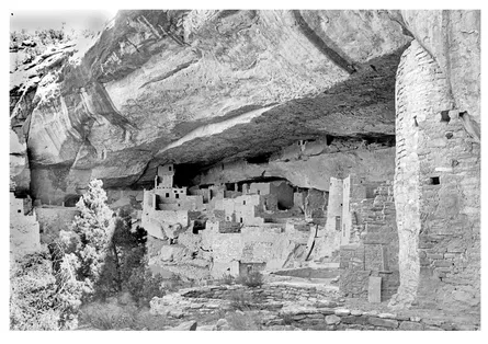 FIGURE 1.1. Cliff Palace, Mesa Verde, Colorado, was built by ancestors of modern Pueblo Indian peoples, in about 1200 CE, yet many of the walls are still standing. More than half a million people visit Mesa Verde National Park each year, and many of them have the opportunity to walk through rooms that were last occupied more than 800 years ago. (Courtesy of the University of Colorado Museum)