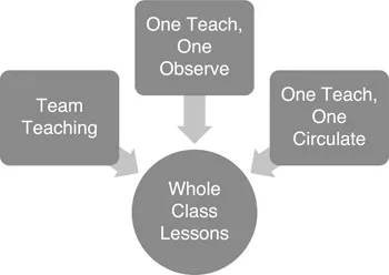 Figure 1.1 Co-Teaching Models for Whole Class