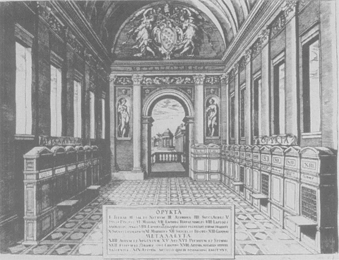 Figure 1.1 The cabinet of curiosities: the Metallotheca of Michele Mercati in the Vatican, 1719
