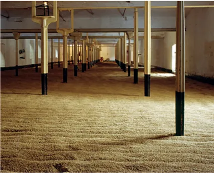 Ditherington Flax Mill, Shrewsbury, England, built in 1796/97, is the world’s first iron-framed building. It was converted to a maltings in the 1880s. This c.1970 photograph shows one of the malt floors shortly before closure. Now empty, it is in the ownership of English Heritage but its future remains uncertain. Too precious to lose, too fragile to use, the flax mill illustrates the dilemma of buildings of high evidential value but low utility. (Brian Bracegirdle/Ironbridge Gorge Museum Trust)
