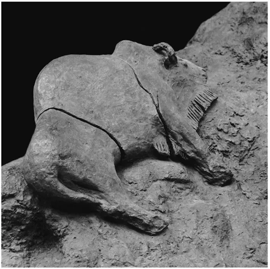 Figure 1.1 Late Ice Age masterpieces: two clay bison from Le Tuc D’Audoubert, France.