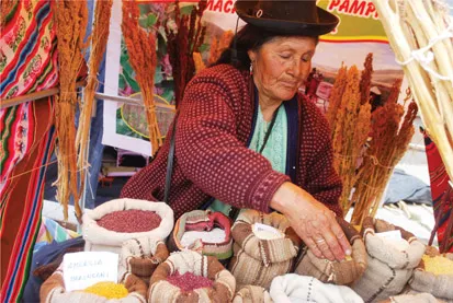 Figure 1.3 A Quechua woman farmer and her varieties of quinoa – a traditional gluten-free, low-fat, high-protein and fibre-rich grain crop from the Andes (Andean) region.