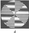 FIGURE 1.2 Figure-ground contexts. (a, b) Rubin’s faces-vase; (c, d) Maltese Cross; (b) and (c) are filled with sinewave gratings as used in experiments examining the effect of spatial frequency on figure-ground perception.