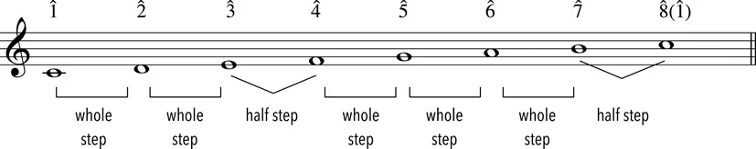 
Figure 1.3
 Major Scale