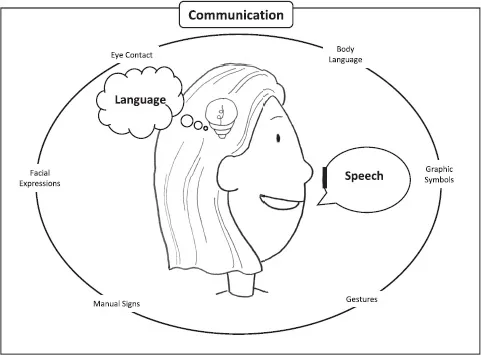 Figure 1.1