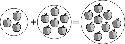 Figure 1.1 The sum of 3 apples and 6 apples is 9 apples (3 apples + 6 apples = 9 apples).