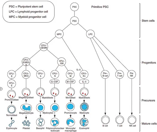 image fig1_2.webp