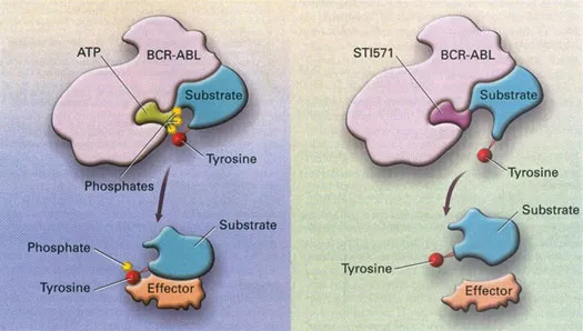 image fig1_3.webp