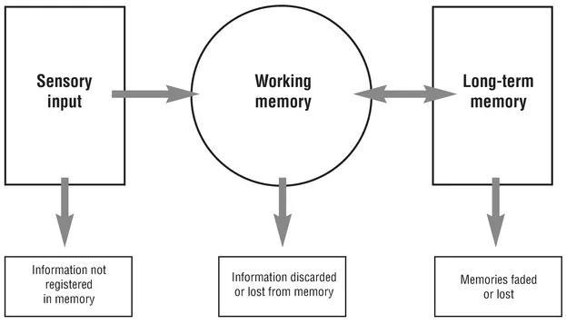 Figure 1:1 The three-stage process