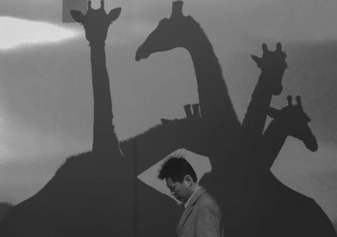 Plate 1.1 Beijing prepares for FOCAC III, November 2006