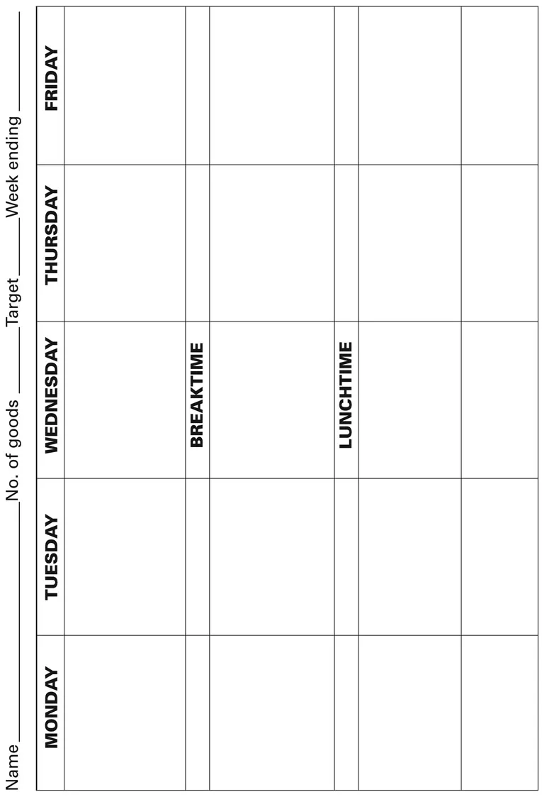 Figure 1.1 Example of a weekly observation sheet