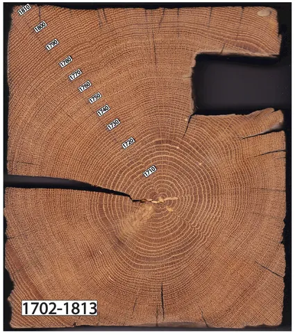 Figure 1.3 Cross section of a white oak post from a log house. This timber was made by removing woody tissue from a fallen tree so that a square shape was achieved. This timber has no bark or wane, and it is not possible to determine how many rings were removed when it was squared. Therefore, the exact year of felling cannot be determined. The outermost ring in this sample is 1813 so we know this timber was put into service at some undeterminable year after 1813. The structure from which it was taken was built sometime after this date. Source: Authors.