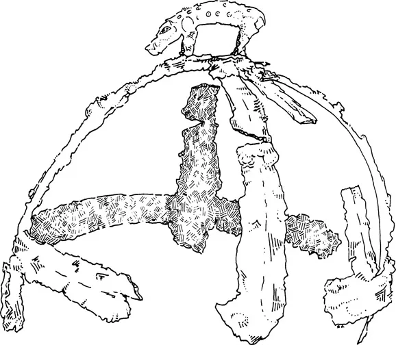 Figure 6. The Benty Grange boar helmet. (After Bruce-Mitford, Aspects [n. 1 below], pl. 63. The Sheffield City Museum, West Park, Sheffield. This drawing first appeared as figure 6 in Glosecki, Shamanism.)