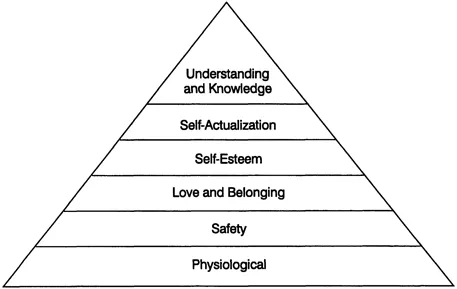 Figure 1.2 A hierarchy of needs