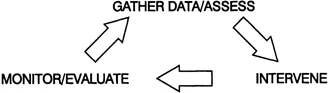 Figure 1.3 Model for using information