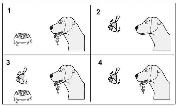 Figure 1.1 The setup of Pavlov’s experiment