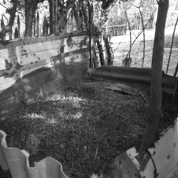 Photo 1.2 Composting pile in home garden
