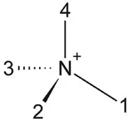 FIGURE 1.3 Quaternary ammonium cation (N1234+ = methylethylpropylbutylammonium).